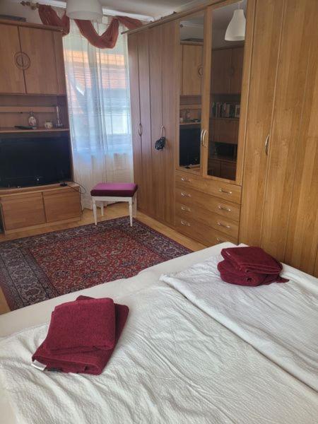 Ferienwohnung Korneuburg Bei Wien -1 Dış mekan fotoğraf